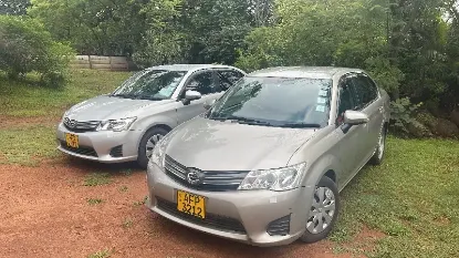 Picture of Intermediates / Standard cars