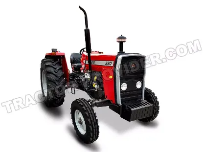Picture of Massive 290 2025