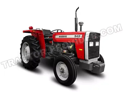 Picture of Massive 345 2025