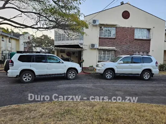 Picture of Car Rental