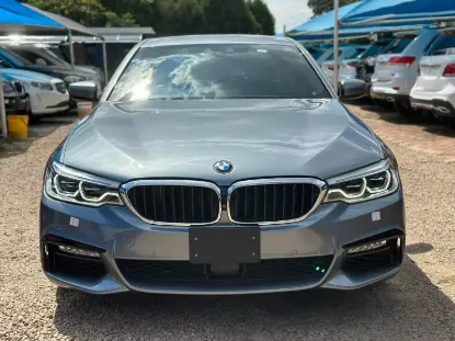 Picture of BMW 5 Series 2018