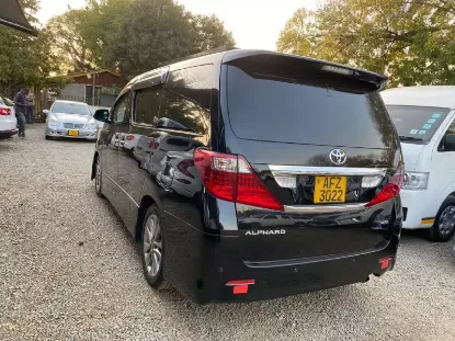 Picture of Toyota Alphard 2010