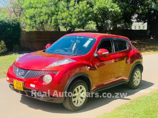 Picture of Nissan Juke 2013