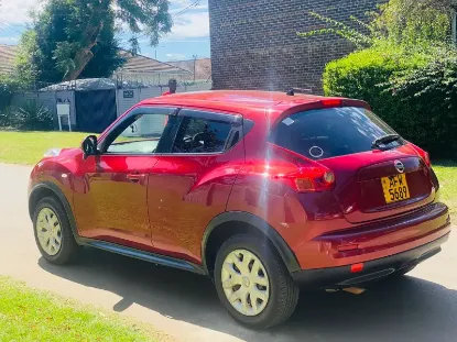 Picture of Nissan Juke 2013