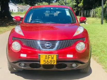 Picture of Nissan Juke 2013