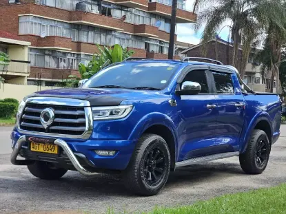 Picture of Gwm P Series 2021