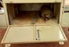 Picture of Homemade Box trailer 2018