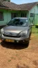 Picture of Compact SUV - Manual