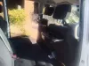 Picture of 8Seater for hire
