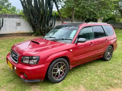 Picture of Subaru Forester 2006