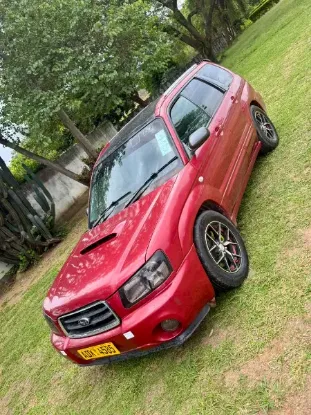 Picture of Subaru Forester 2006