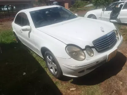 Picture of Mercedes Benz 211 2010