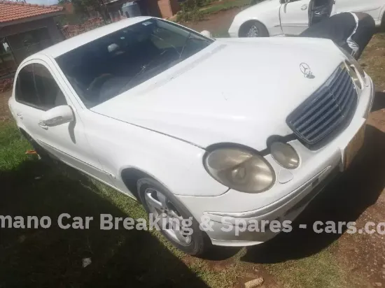 Picture of Mercedes Benz 211 2010