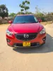 Picture of Executive Mid SUVs: Mazda CX5, Honda Vezel, Toyota Vanguard, Nissan Xtrail T32
