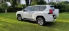 Picture of Toyota Prado 2021