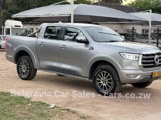 Picture of Gwm P Series 2024