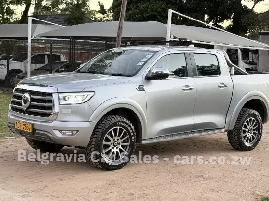Picture of Gwm P Series 2024