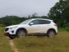 Picture of Mazda CX-5s for hire!