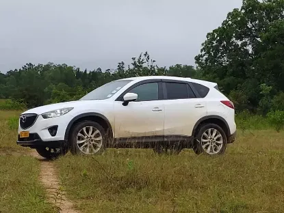 Picture of Mazda CX-5s for hire!