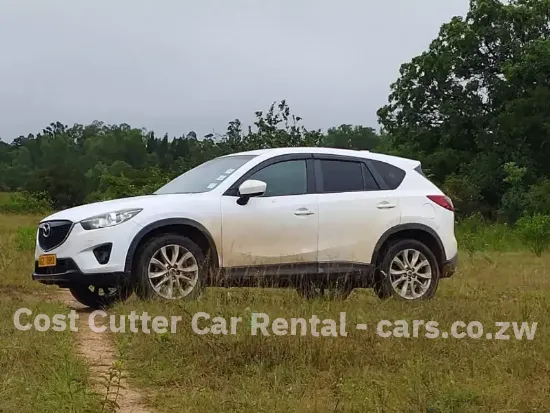 Picture of Mazda CX-5s for hire!
