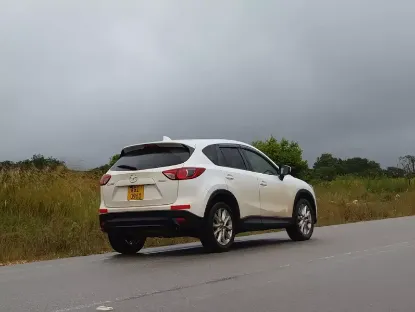Picture of Mazda CX-5s for hire!