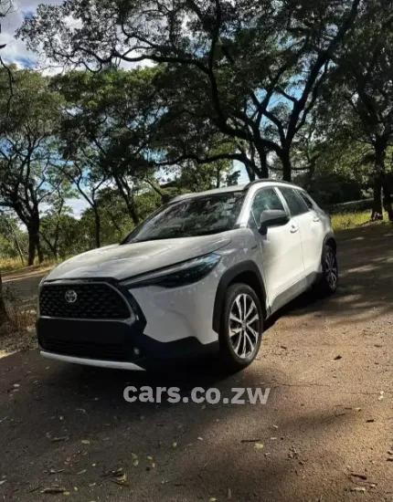 Picture of Toyota Cross 2023