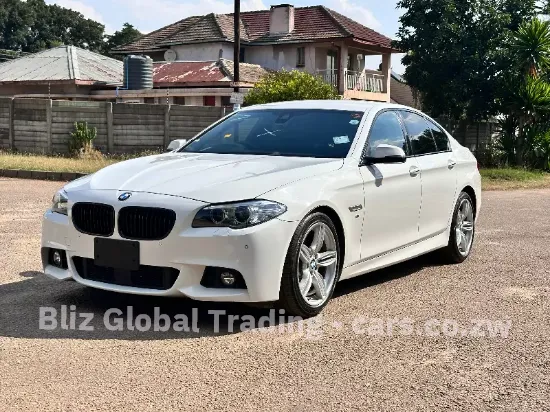 Picture of BMW 5 Series 2016