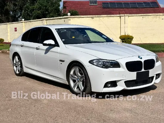 Picture of BMW 5 Series 2016