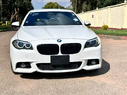 Picture of BMW 5 Series 2016