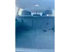 Picture of Toyota Land Cruiser 2021
