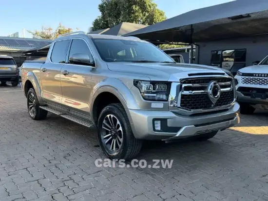 Picture of Gwm P Series 2025