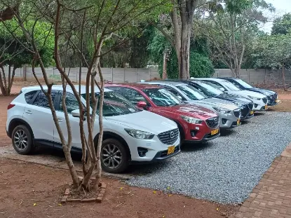 Picture of Mazda CX-5s for hire!