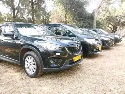 Picture of Mazda CX-5s for hire!