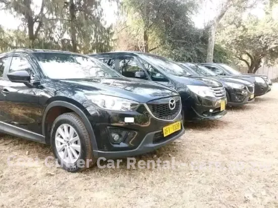 Picture of Mazda CX-5s for hire!