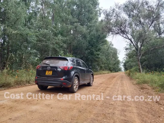 Picture of Mazda CX-5s for hire!