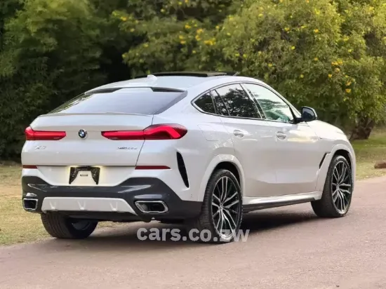 Picture of BMW X6 2021