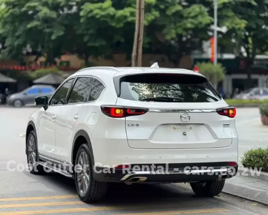 Picture of Three row Mazda CX-8s!
