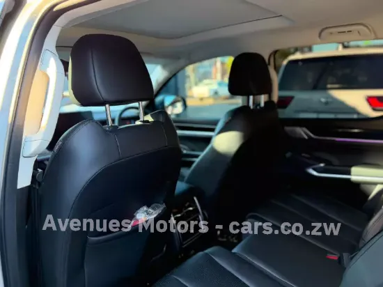 Picture of Gwm P Series 2025