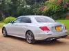 Picture of Mercedes Benz E-Class 2023
