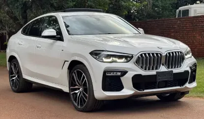 Picture of BMW X6 2020