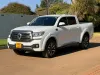 Picture of Gwm P Series 2025