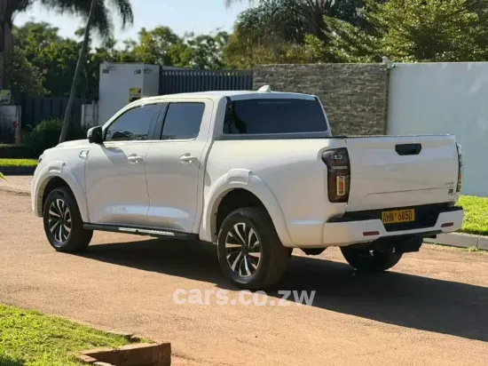Picture of Gwm P Series 2025