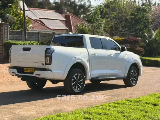 Picture of Gwm P Series 2025