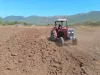 Picture of Massey ferguson 2022