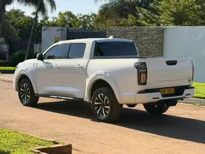 Picture of Gwm P Series 2025