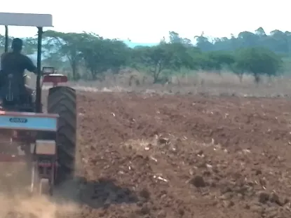 Picture of Massey ferguson 2022