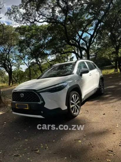 Picture of Toyota Cross 2023
