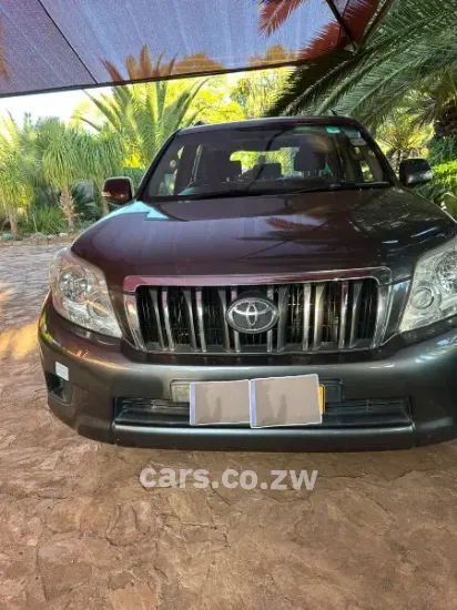 Picture of Toyota Land Cruiser 2010