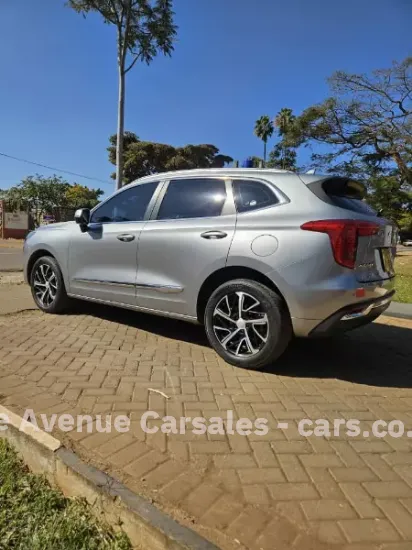 Picture of Haval Jollion 2021