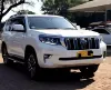 Picture of Toyota Prado 2021